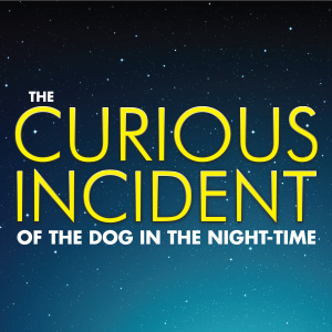 The Curious Incident of the Dog in the Night-Time